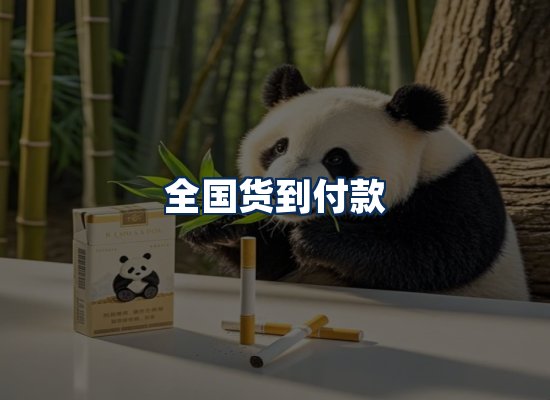 专业团队办公环境